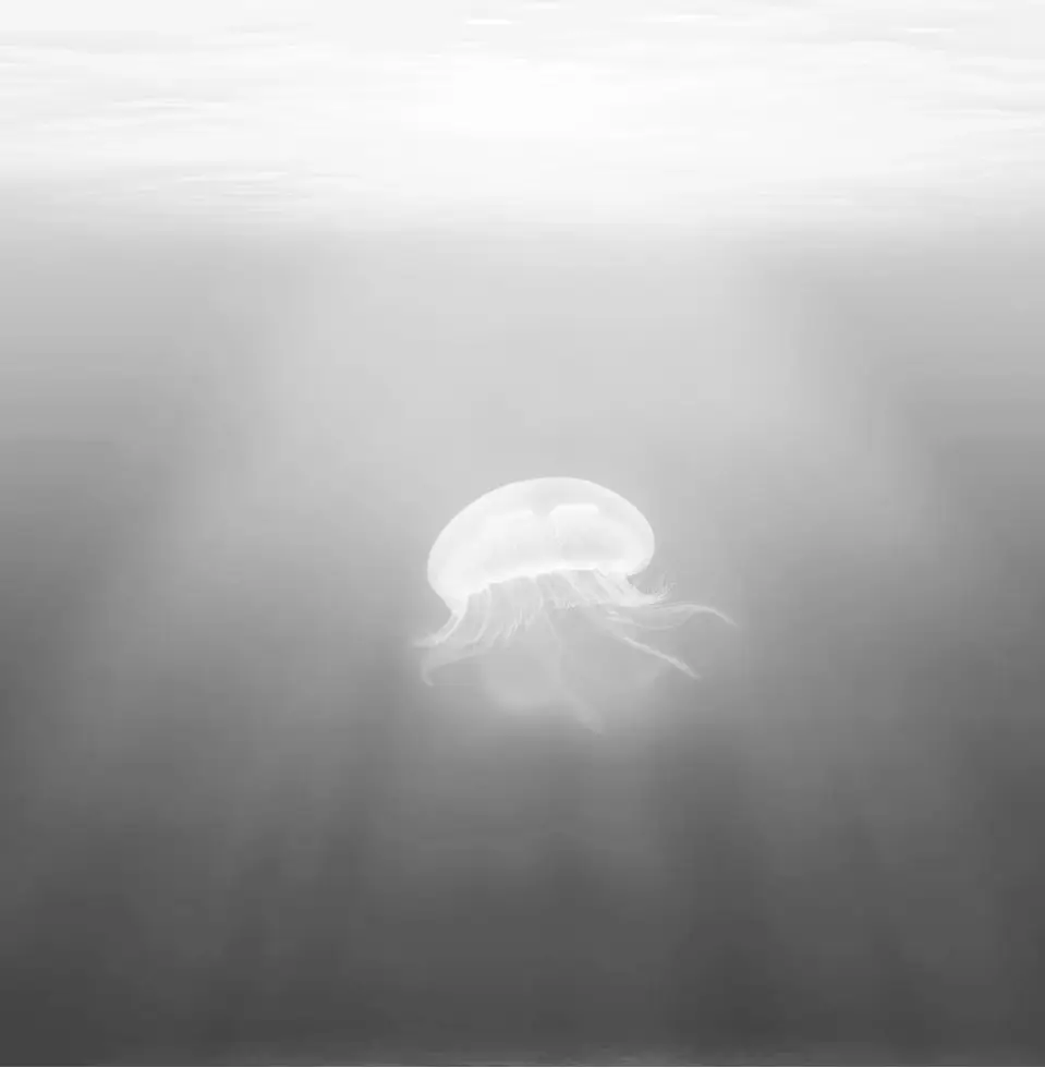 Gallery-Water-Hero-Img_2.jpg