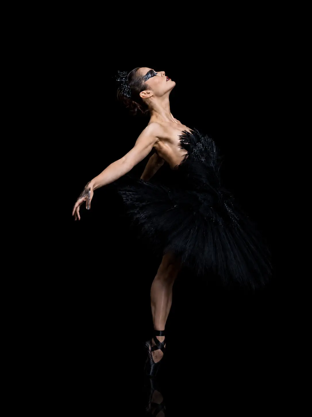 black-swan-ballarena